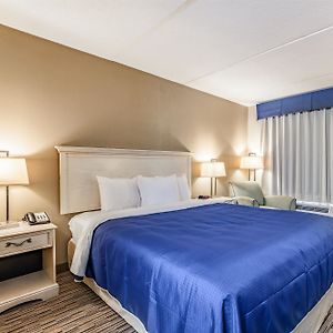 King Room Roll Shower Disability Access