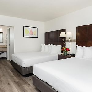 Two-Bedroom King Room