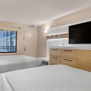 Standard Room Two Double Beds