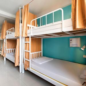 Bunk Bed Mixed Dormitory Room
