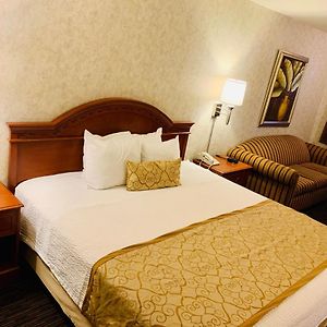 King Room Sofa Bed
