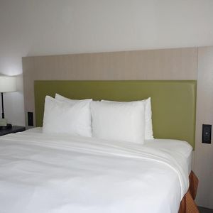 One-Bedroom King Suite
