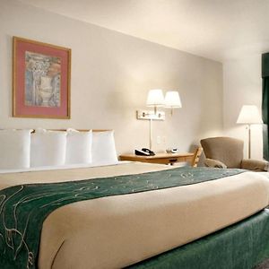 Queen Room Mobility accessible