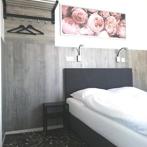 Basic King Room