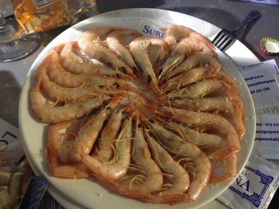 La Surena de Las Setas