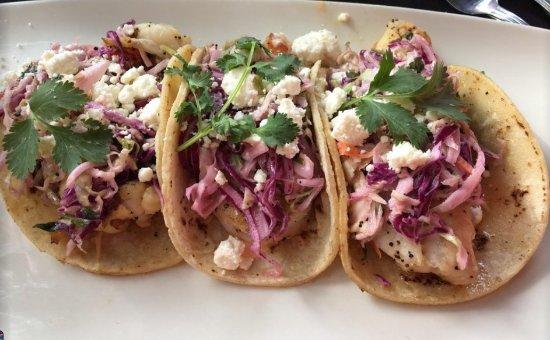 Red Clasico Sarasota