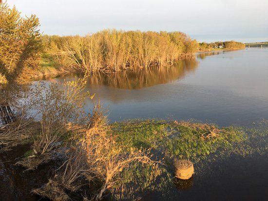 Bill Thorpe Walking Bridge