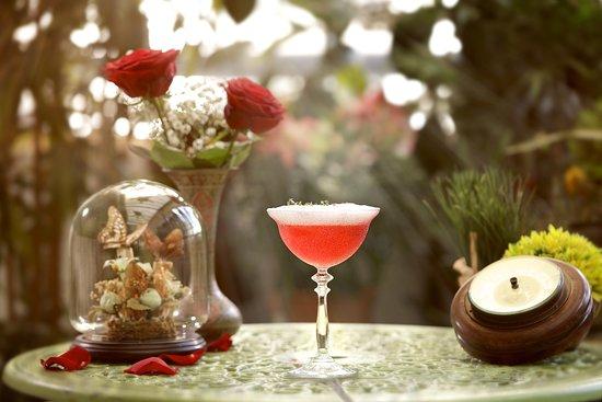 Mr. Fogg's House of Botanicals
