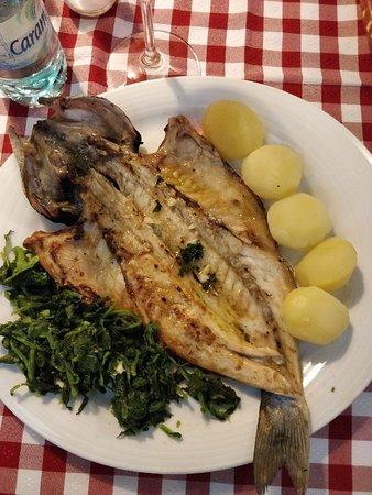 A Tasquinha Constantino