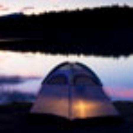 Shark's Fish & Chicken