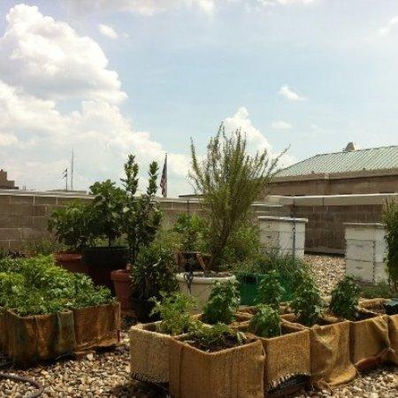 Maldaner's Restaurant