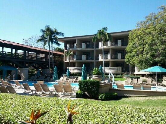 The Terrace Restaurant