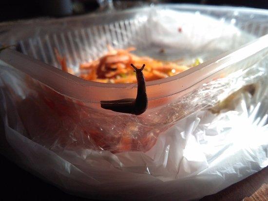 Panacea Cocina de Autor