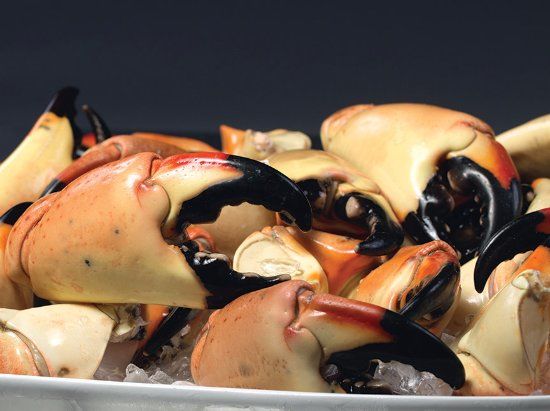 Truluck's Restaurant