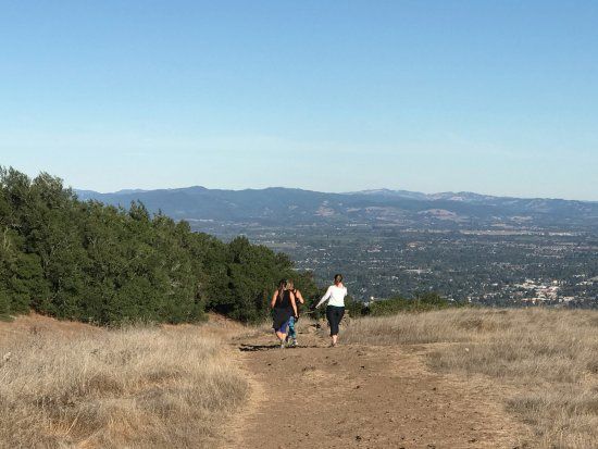 Taylor Mountain Regional Park