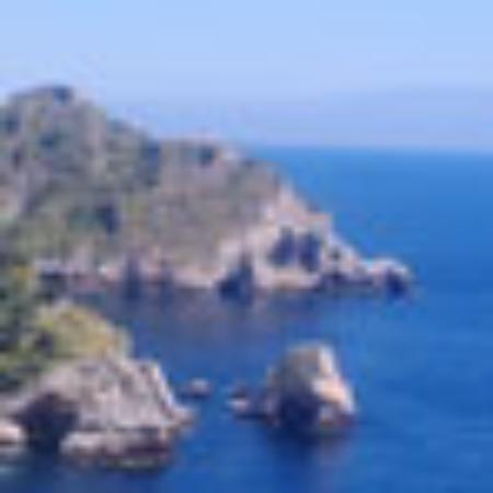 Diamond Back Downtown