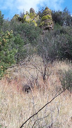Yeager Canyon Loop Trail