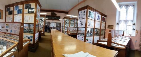 James Mitchell Geology Museum