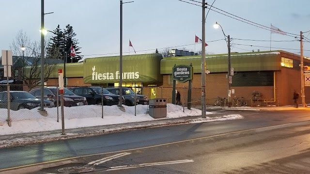 Fiesta Farms
