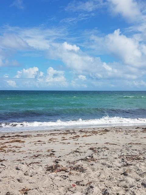 Sandoway Discovery Center