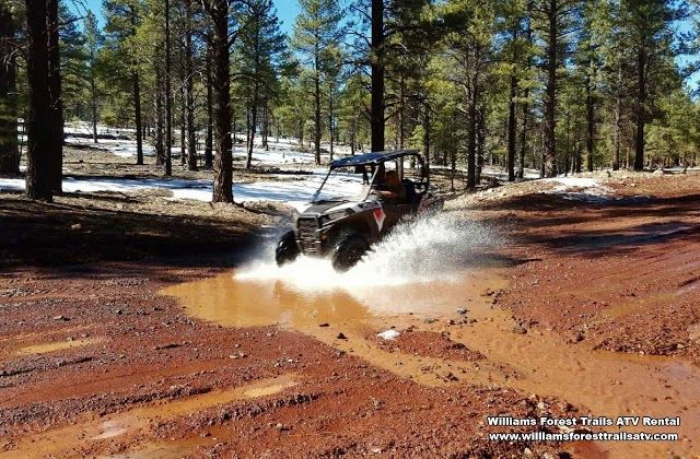 Williams Forest Trails ATV Rental