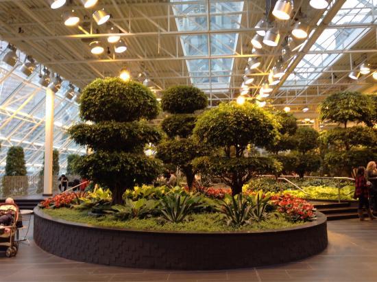 Devonian Gardens