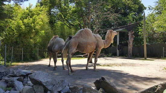 Roger Williams Park Zoo
