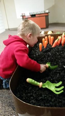 Phelps Youth Pavilion