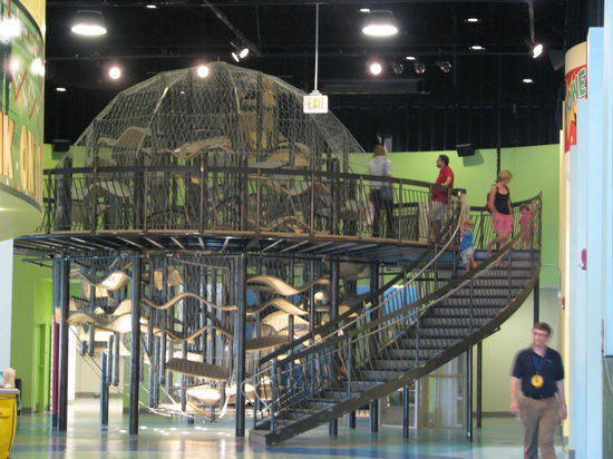 Delaware Children's Museum
