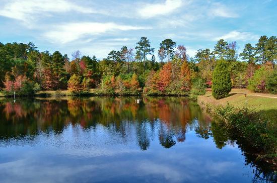 Clemmons Educational State Forest