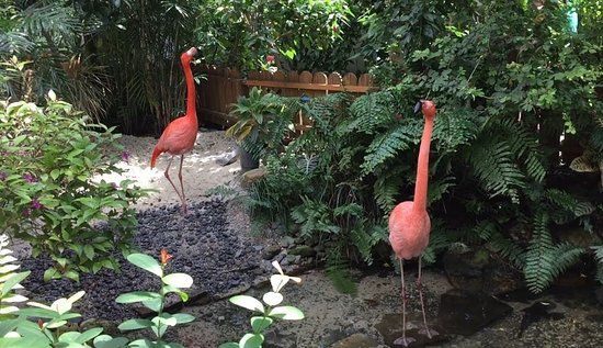 Key West Butterfly and Nature Conservatory