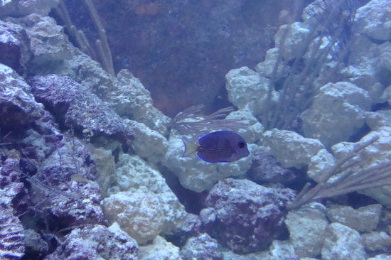 Florida Keys Eco-Discovery Center