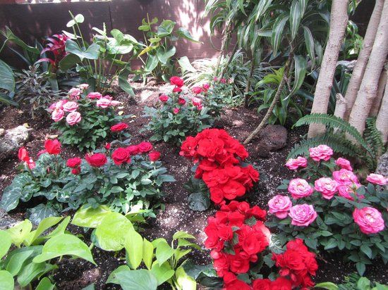 Regina Floral Conservatory