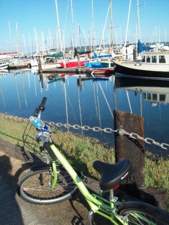 Larry Scott Memorial Trail